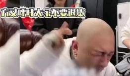 方丈老板爆料辛巴视频大全,独家爆料背后的真相