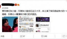 爆料娱乐圈势力的小说,揭秘幕后势力风云录