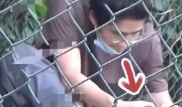 刘昊然狗仔爆料视频,揭秘娱乐圈真实一面