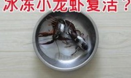 爆料小龙虾直播视频下载,小龙虾直播视频下载背后的火爆现象